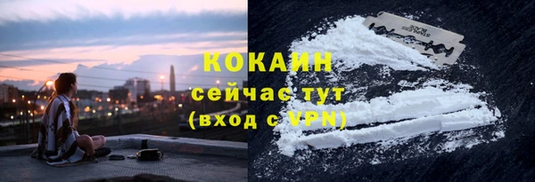 дживик Алзамай