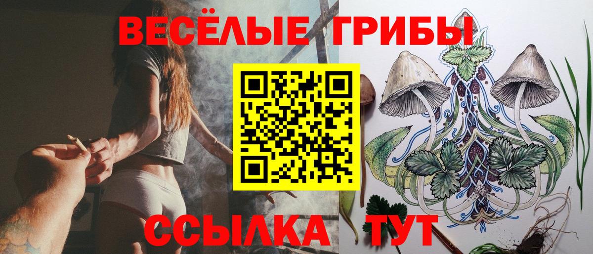 Клин  Галлюциногенные грибы Psilocybe  Вход с VPN 