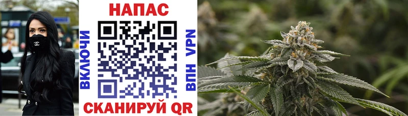 МАРИХУАНА SATIVA & INDICA  блэк спрут зеркало  Клин 