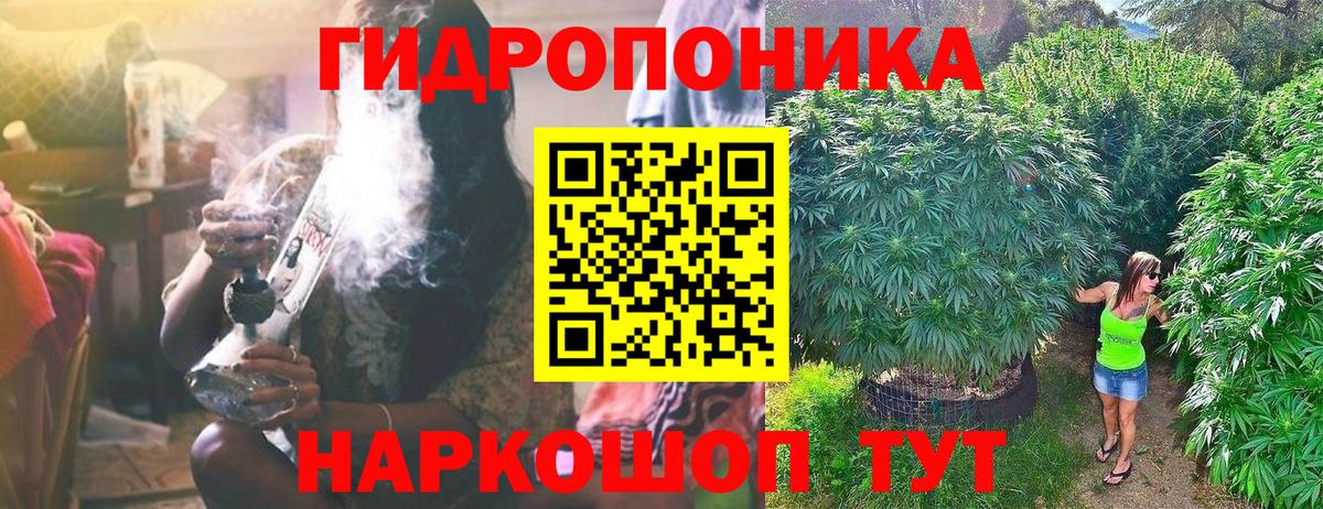 Марихуана SATIVA & INDICA Клин